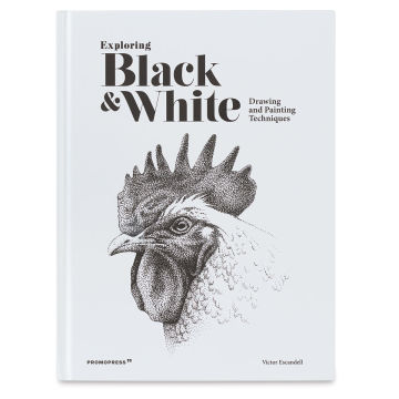 Exploring Black and White: Drawing and Painting Techniques - Front Cover
