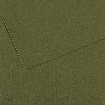 Open in modal - Canson Mi-Teintes Drawing Papers - 8-1/2" x 11", Ivy, 25 Sheets