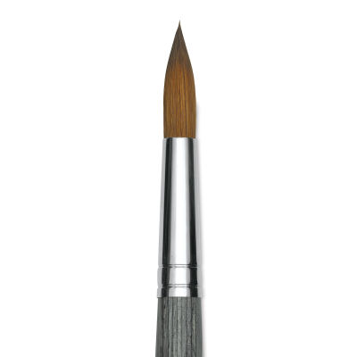 Da Vinci Colineo Synthetic Kolinsky Sable Brush - Round, Size 16, Short Handle (close-up)