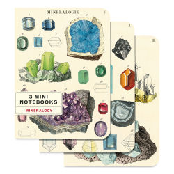 Cavallini Mineralogy Mini Notebooks, package of 3