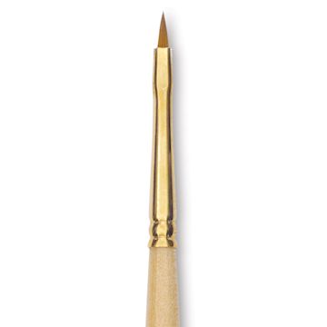 Open in modal - Silver Brush Silver Kolinsky Red Sable Brush - Short Handle, Pointed Filbert, Size 2/0, close-up