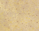 Plastruct Patterned Sheets, Random Polished Stone, 1:200 Scale 