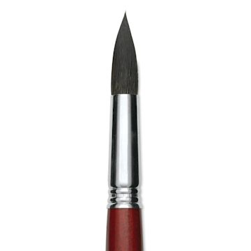 Open in modal - Escoda Aquario Squirrel Hair Brush - Round, Short Handle, Size 18, close-up