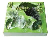 Open in modal - preserving-flowers-and-other-organics-in-acrylic