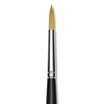 Open in modal - Trekell Synthetic Gold Taklon Brush - Round, Short Handle, Size 8, close-up
