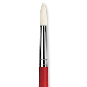 Open in modal - Da Vinci Maestro 2 Hog Bristle Brush - Round, Long Handle, Size 6 close up