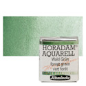 Schmincke Horadam Aquarell Artist Watercolor - Forest Green, Supergranulation, Half Pan