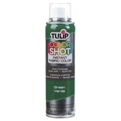 Tulip ColorShot Instant Fabric Color Spray - Green