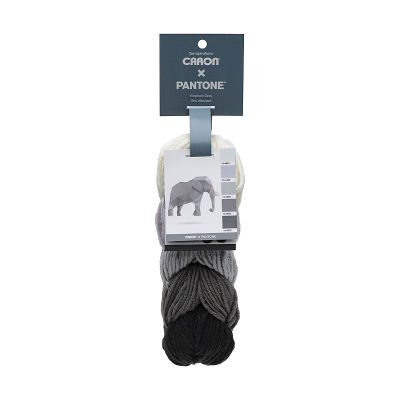 Caron Pantone Yarn - Elephant Gray