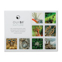 Ouisi Card Set - Nature