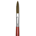Escoda Light Ox Hair Script/Liner Brush - Filbert, Size 12