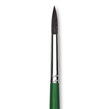Open in modal - Blick Economy Camel Hair Brush - Round, Short Handle, Size 6 close up
