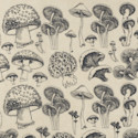Elan Transfers Underglaze Transfer Sheet - Natural Mushrooms, Black