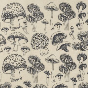Open in modal - Elan Transfers Underglaze Transfer Sheet - Natural Mushrooms, Black - close-up