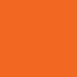 Union Maxopake Liberty Series Ink - Quart, Orange (Color chip)
