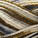 Premier Yarn Canyon Colors Yarn - Rock Garden
