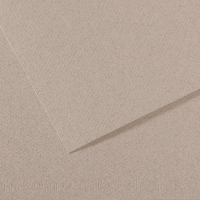 Canson Mi-Teintes Drawing Paper - 19" x 25", Moonstone, Single Sheet