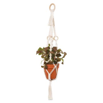 Solid Oak Make-ramé Macramé Plant Hanger Kit - Wood Rings, completed project