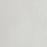 Caravaggio Acrylic-Primed Polyester Canvas Rolls