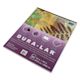 Grafix Dura-Lar Clear Acetate Alternative - 11" x 14" x .003", Pad, 25 Sheets - angled