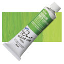 Holbein Duo Aqua Water Soluble Oils - Cadmium Green Hue, 40 ml tube