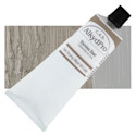 CAS AlkydPro Fast-Drying Alkyd Oil Color - Stainless Steel, 120 ml tube