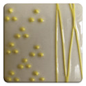 Spectrum Raised Accent Color - Bright Yellow, 8 oz