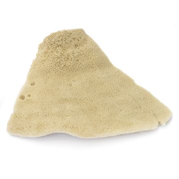 Open in modal - Royal & Langnickel Elephant Ear Economy Sponge - 4"- 4-1/2", #5