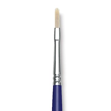 Open in modal - Blick Scholastic White Bristle Brush - Filbert, Size 2 close up
