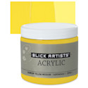Blick Artists' Acrylic - Cadmium Yellow Medium, 16 oz jar