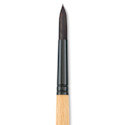 Princeton Catalyst Polytip Brush - Size