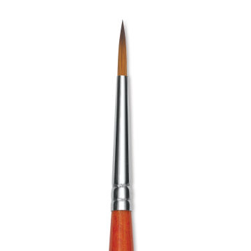 Raphael Golden Kaerell Brush - Pointed Round, Short Handle, Size 1, close-up