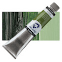 Van Gogh Oil Paint - Sap Green, 200 ml tube