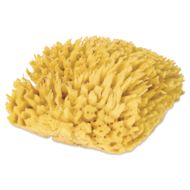 Royal & Langnickel Natural Sea Wool Sponge