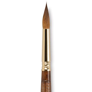 Open in modal - Escoda Reserva Kolinsky-Tajmyr Sable Brush - Pointed Round, Short Handle, Size 12 (close-up)