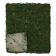 SuperMoss Instant Green Moss Mat