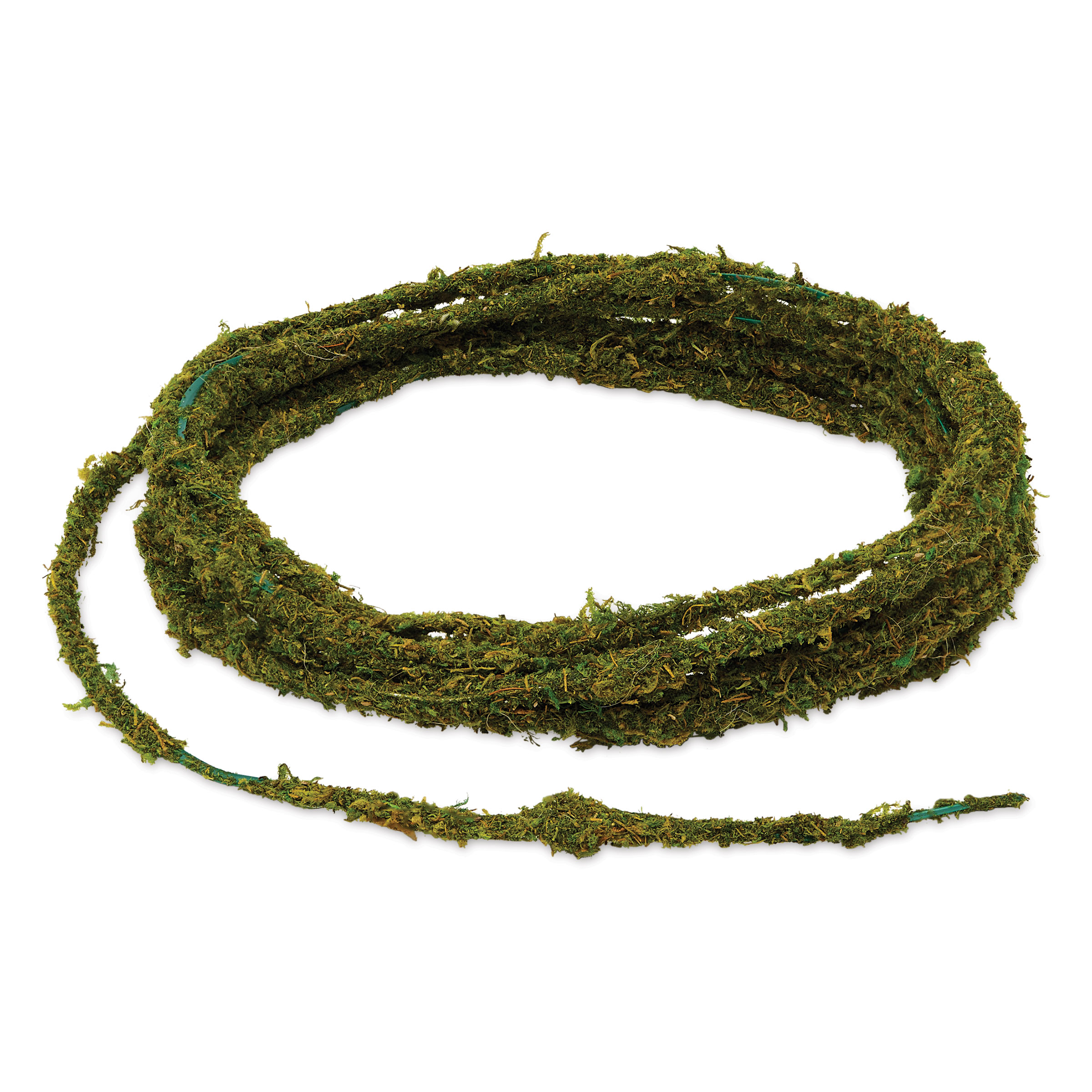 SuperMoss Moss Floral Wire | BLICK Art Materials
