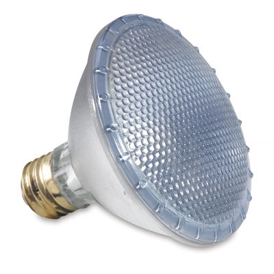 Chromalux Full Spectrum Halogen Light Bulb - 75W Bulb shown