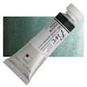 PWC Extra Fine Professional Watercolor - Shadow Green, 15 ml, Tube