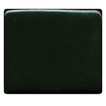 Open in modal - Coyote High Fire Underglaze - Cactus Green
