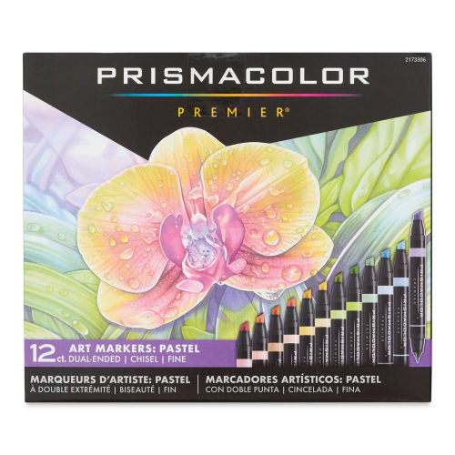 Art Markers Pen Set Prismacolor Double Ended 24 Color Artist Draw Paint +  Case