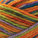 Premier Yarn Canyon Colors Yarn - Fall