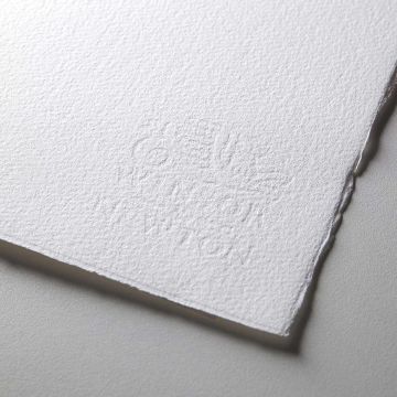 Winsor & Newton Professional Watercolor Paper - Close-up of watermark to show color and texture
