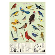 Cavallini Vintage Birdwatching Printed Paper