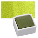 Derwent Graphitint Paint Pan - Meadow