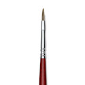Escoda Bravo Light Ox Hair Brush - Long Filbert, Long Handle, Size 2