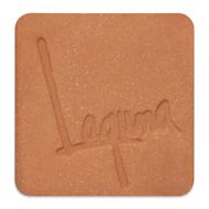 Laguna B-Mix 5 Red Clay with Grog WC438