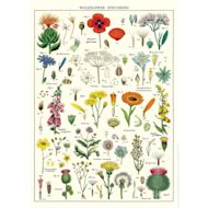 Cavallini Wildflowers Printed Paper