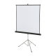 Apollo Projection Screen - 60