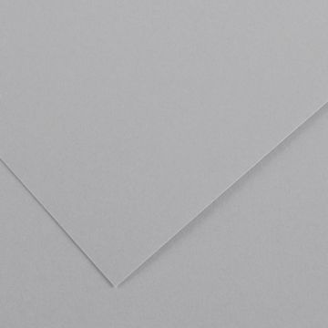 Open in modal - Canson Colorline Art Paper - 19" x 25", 150 gsm, Light Gray